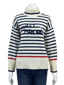 【サンプル】ボーダータートル立体ロゴ