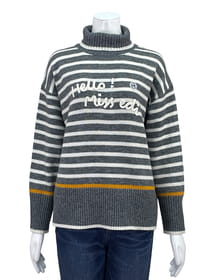 ボーダータートル立体ロゴ