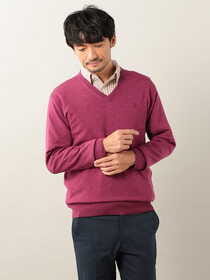 ウォッシャブルVネックニット/刺しゅう入り