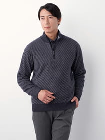 レジメンタルハーフジップニット